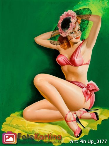 Pin-Up #0177